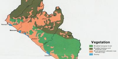 Map of vegetation map of Liberia